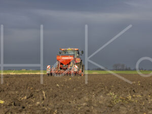 Tarweteelt (0Y3A3926)