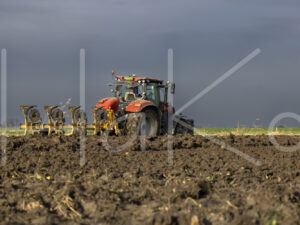 Overige akkerbouw (0Y3A3931)