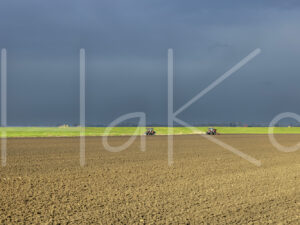 Tarweteelt (0Y3A3970)