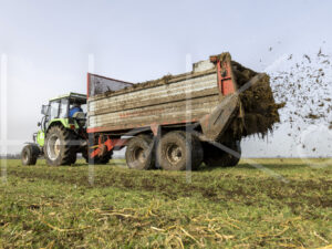 Overige veeteelt (0Y3A4152)