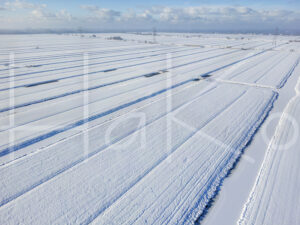 Landbouwlandschap (DJI_00450)