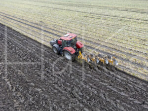 Overige akkerbouw (DJI_01480)