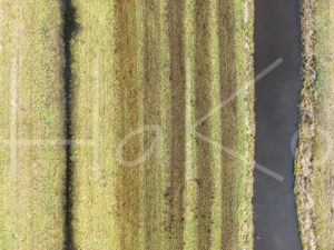 Overige veeteelt (DJI_02560)