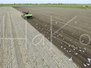 Aardappelteelt (DJI_03180)