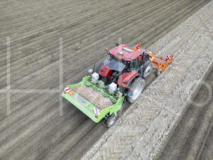 Aardappelteelt (DJI_03290)