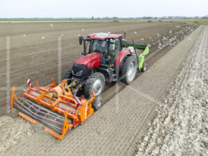 Aardappelteelt (DJI_03420)