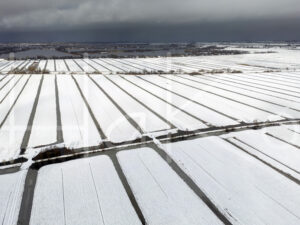 Landbouwlandschap (DJI_09340)