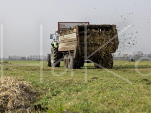 Overige veeteelt (L1A4078)