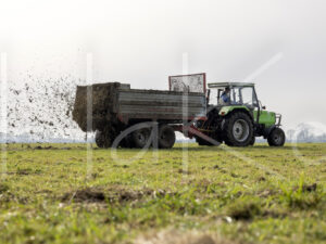 Overige veeteelt (L1A4169)