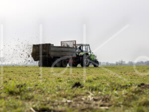 Overige veeteelt (L1A4194)